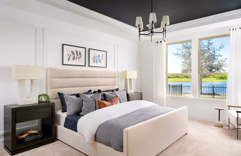 Owner's Retreat with Tray Ceiling
