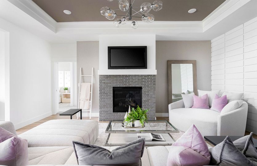 Gathering Room with Tray Ceiling and Transitional Fireplace