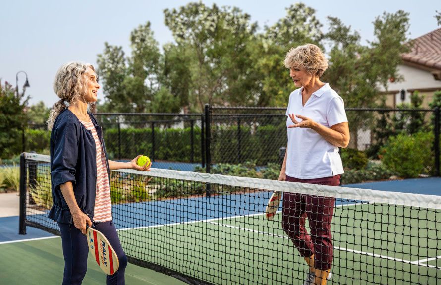 Play a Game of Pickleball!