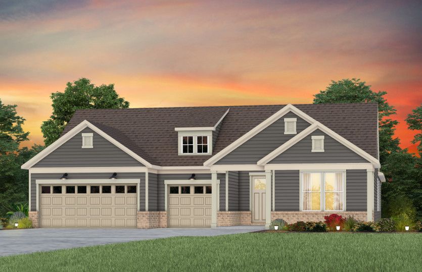 Renown Elevation LC211