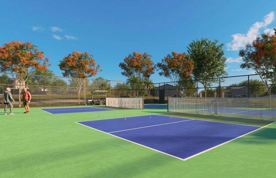 Exclusive 55+ Pickleball