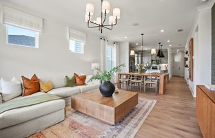 Contour - Carolina Riverside: Belmont, North Carolina - Del Webb