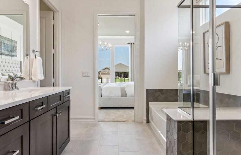 Owner's bath with large shower