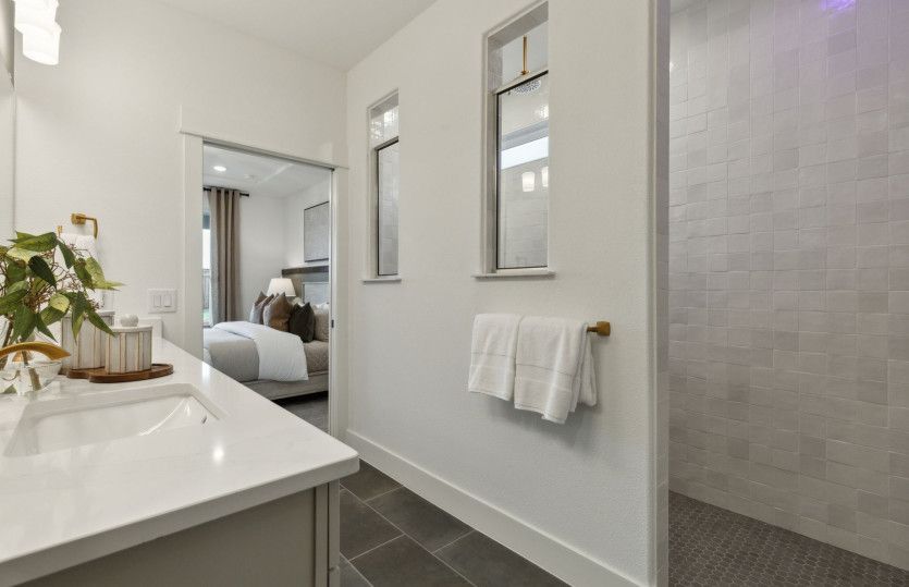 Owner's bath with walk-in shower
