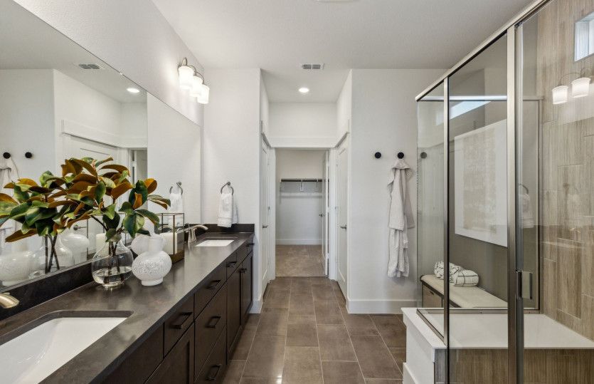Private owner's bath*model representation