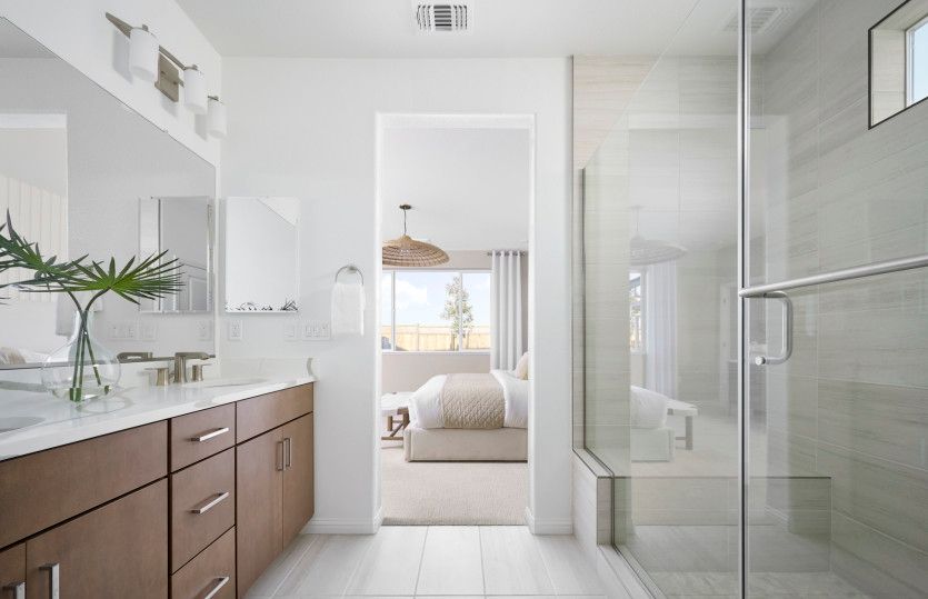Owner's bath