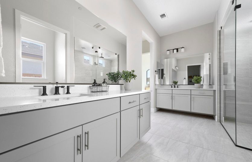 Owner's bathroom