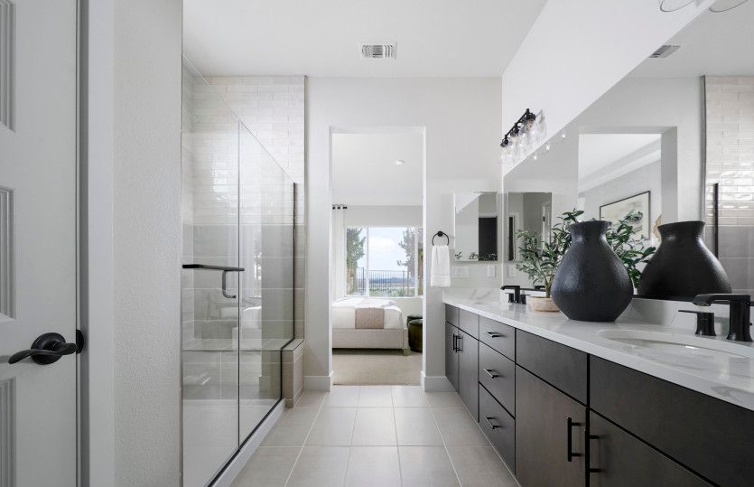 Owner's suite bath