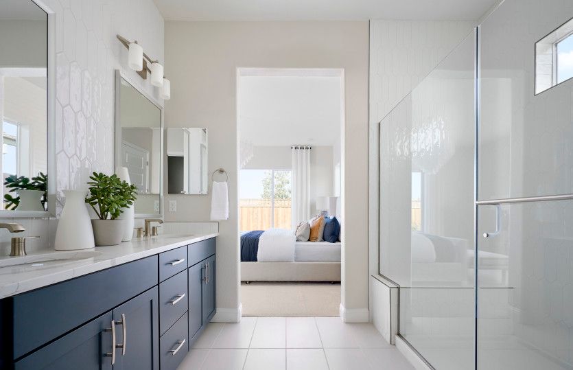 Owner's bath