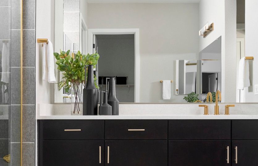 Owner's bath
