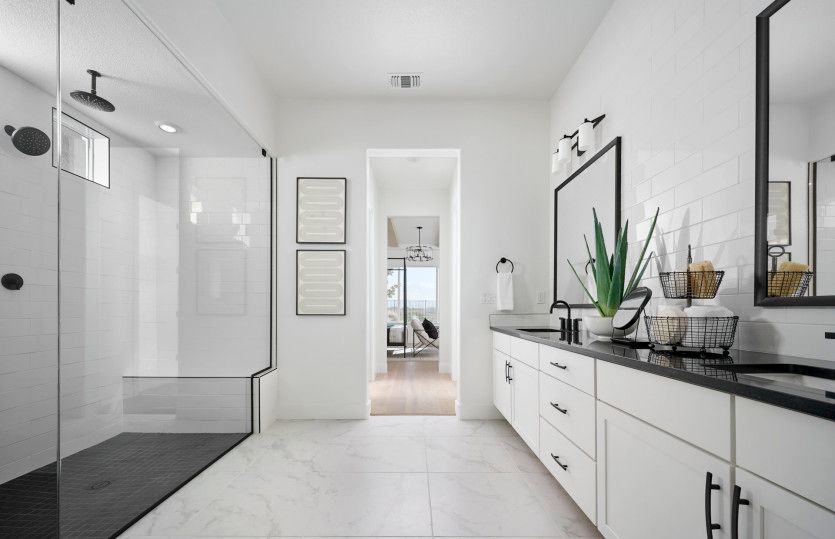 Owner's bath