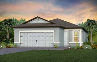 Contour - Del Webb River Reserve: Spring Hill, Florida - Del Webb