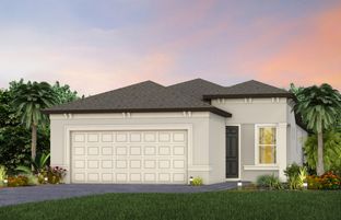 Contour - Del Webb River Reserve: Spring Hill, Florida - Del Webb