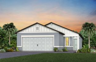 Daylen - Del Webb Sunchase: Parrish, Florida - Del Webb