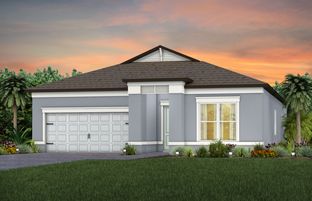 Palmary - Del Webb River Reserve: Spring Hill, Florida - Del Webb
