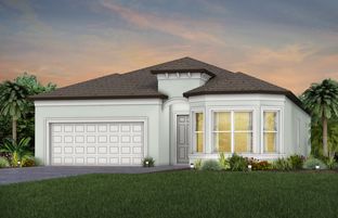 Palmary - Del Webb River Reserve: Spring Hill, Florida - Del Webb