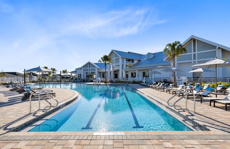 Take a Dip!