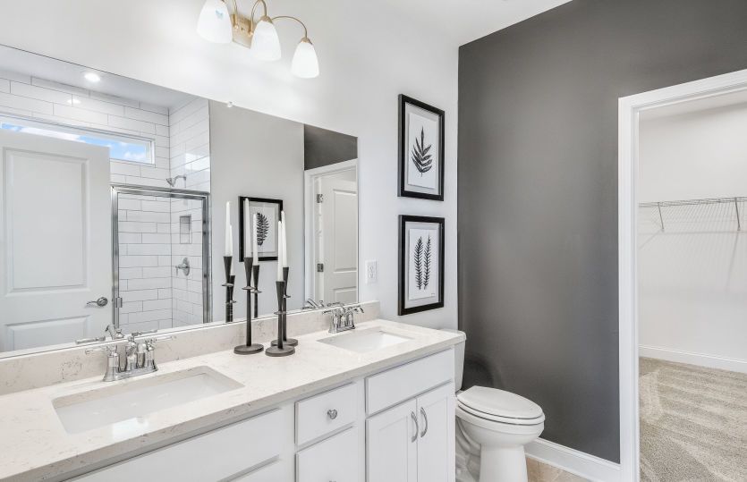 Owner's Bath