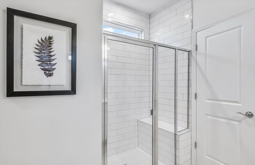 Owner's Bath