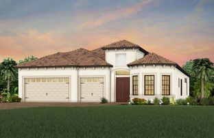 Layton - Del Webb Naples: Ave Maria, Florida - Del Webb
