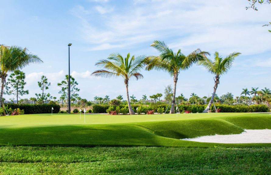 Putting and Chipping Green