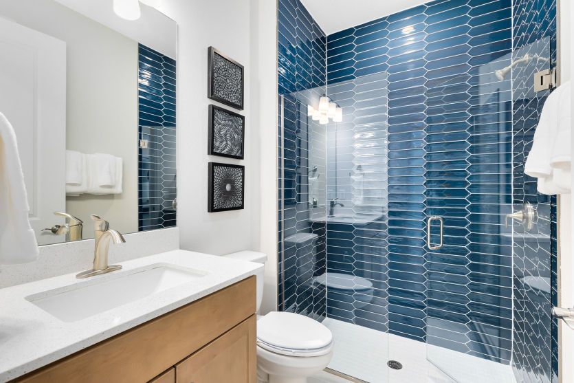 Owner's Bath