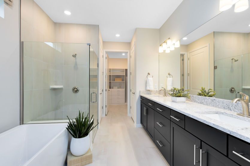Elegant Owner's Bathroom