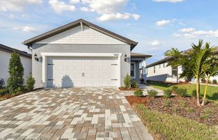 Contour - Del Webb BayView: Parrish, Florida - Del Webb