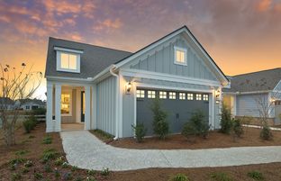 Contour - Del Webb Point Hope: Charleston, South Carolina - Del Webb