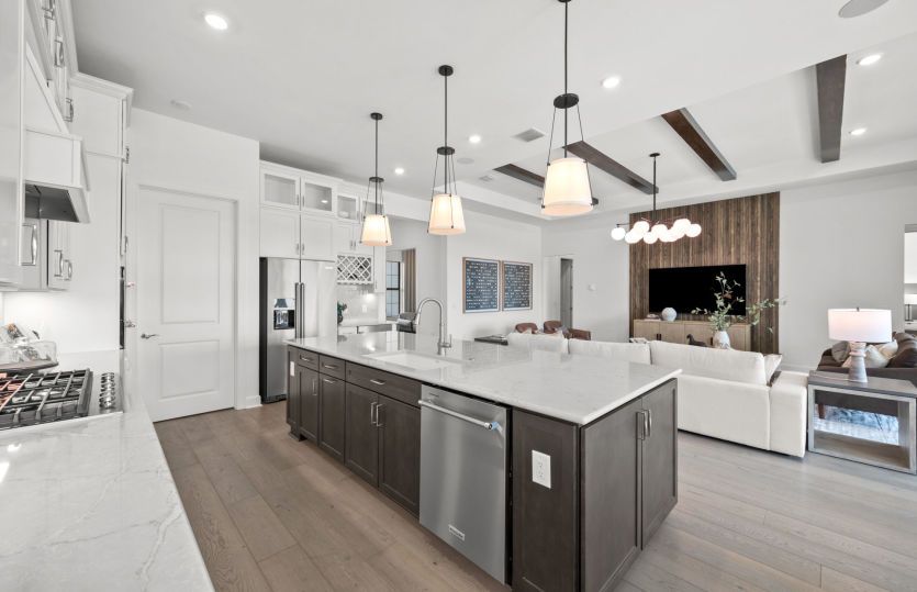 Model Representation | Ideal chef inspired kitchen