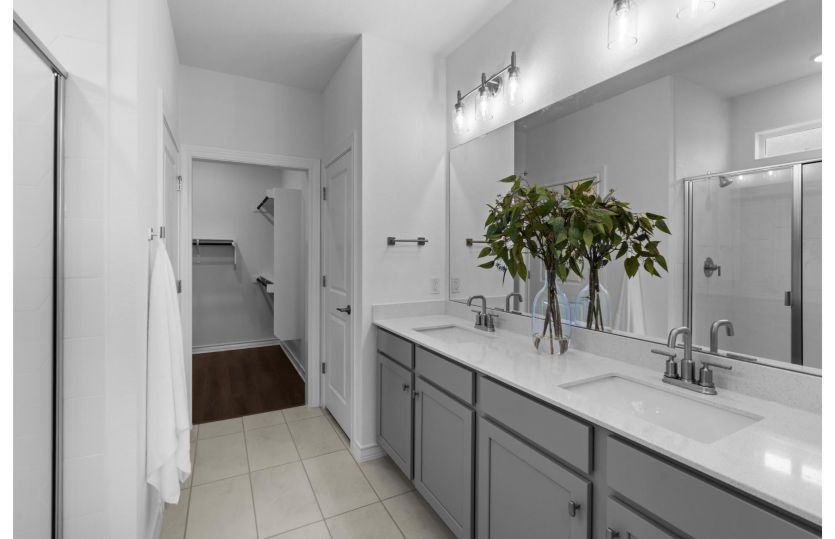 Owner's Bath
