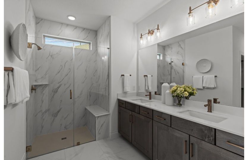 Owner's Bath