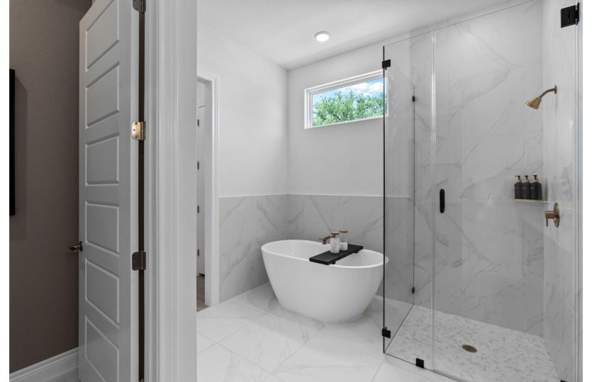 Owner's Bath