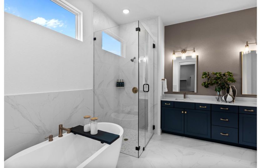 Owner's Bath