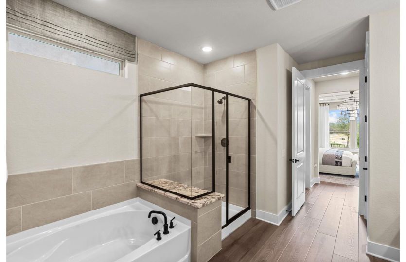 Owner's Bath