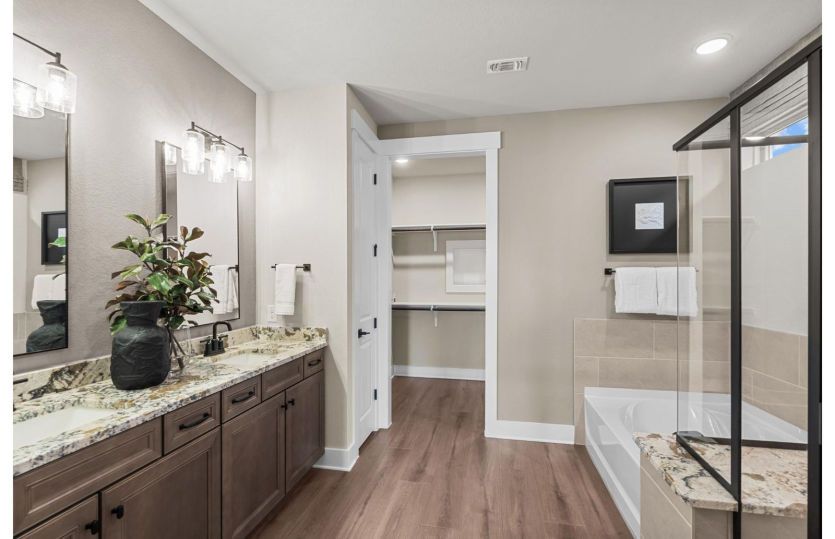Owner's Bath