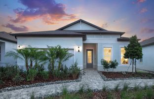 Mystique - Del Webb River Reserve: Spring Hill, Florida - Del Webb