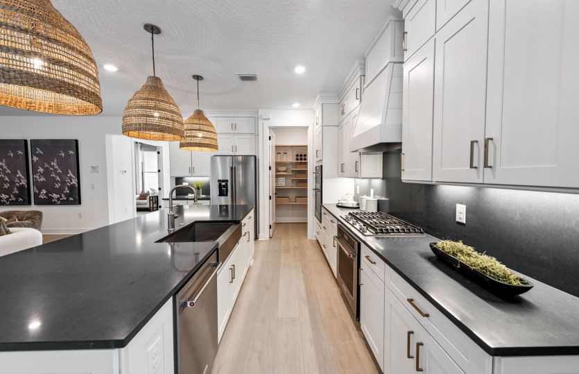 Modern Kitchen with Stylish Finishes