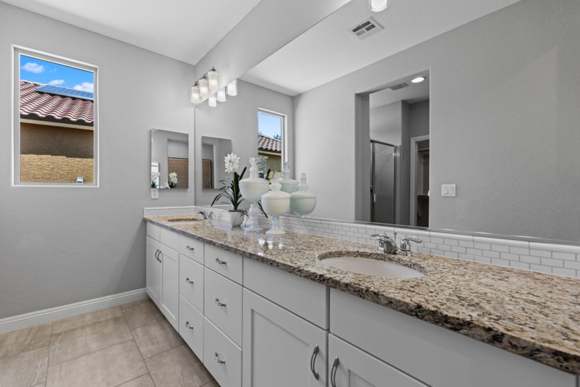 Owner's Bath