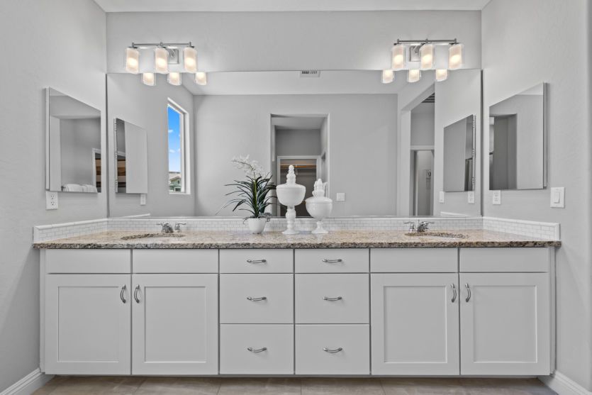 Owner's Bath