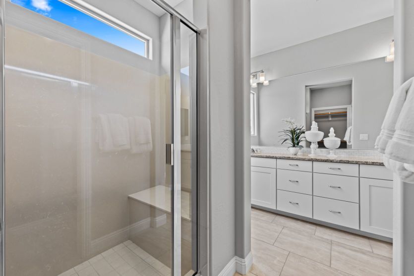 Owner's Bath
