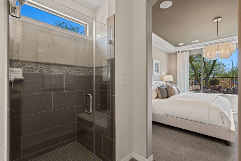 Owner's Bath