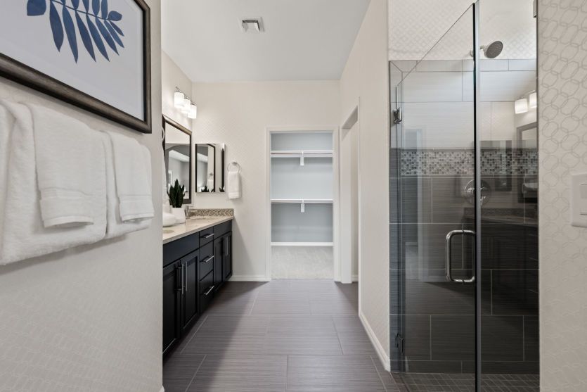 Owner's Bath
