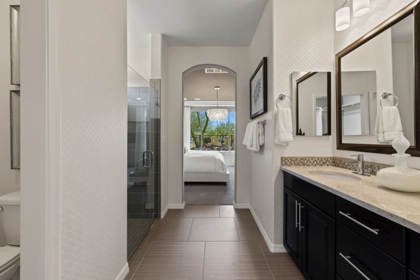 Owner's Bath