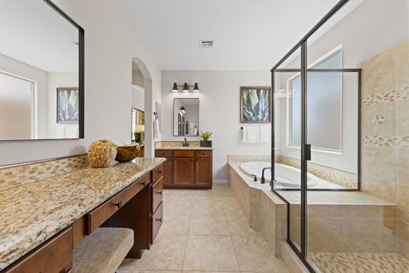 Owner's Bath