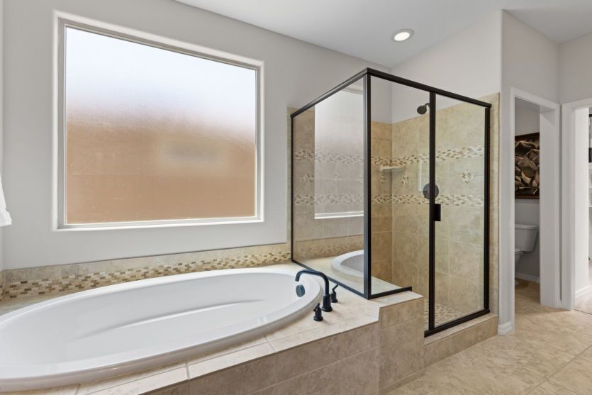 Owner's Bath