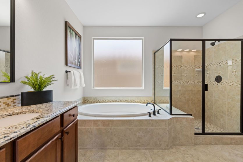 Owner's Bath