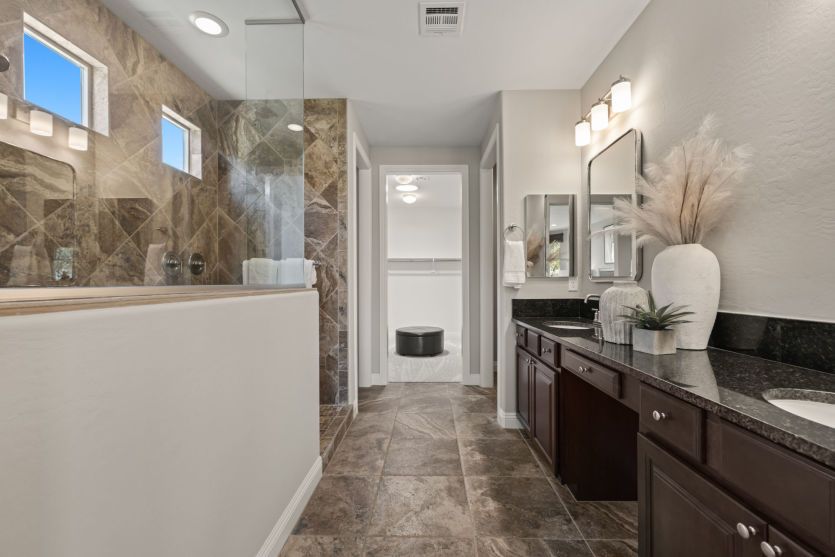 Owner's Bath