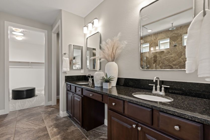 Owner's Bath