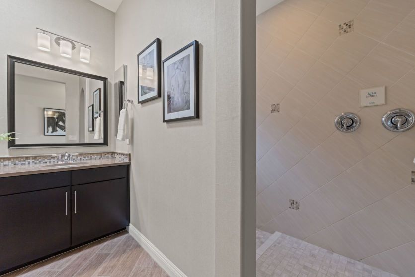 Owner's Bath